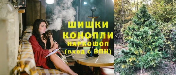 сатива Белоозёрский