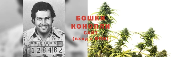 ПСИЛОЦИБИНОВЫЕ ГРИБЫ Бугульма