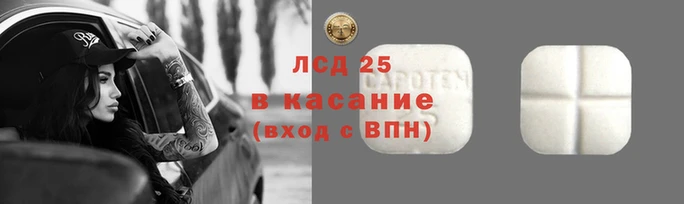 мдпв Грязовец