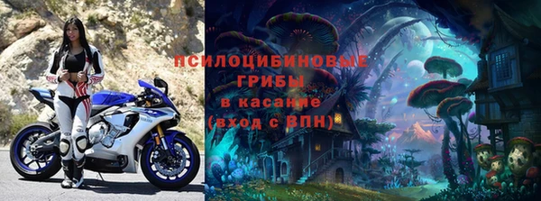 прущие крисы Богородицк