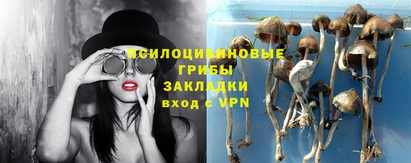 прущие крисы Богородицк