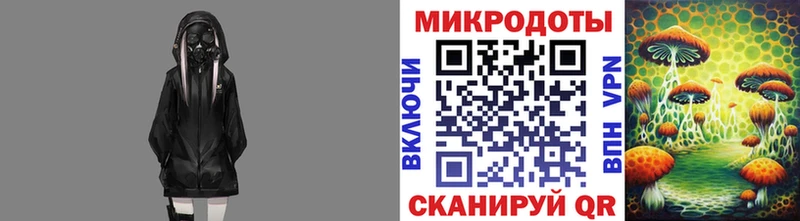 Псилоцибиновые грибы Psilocybine cubensis  где можно купить наркотик  Вяземский 